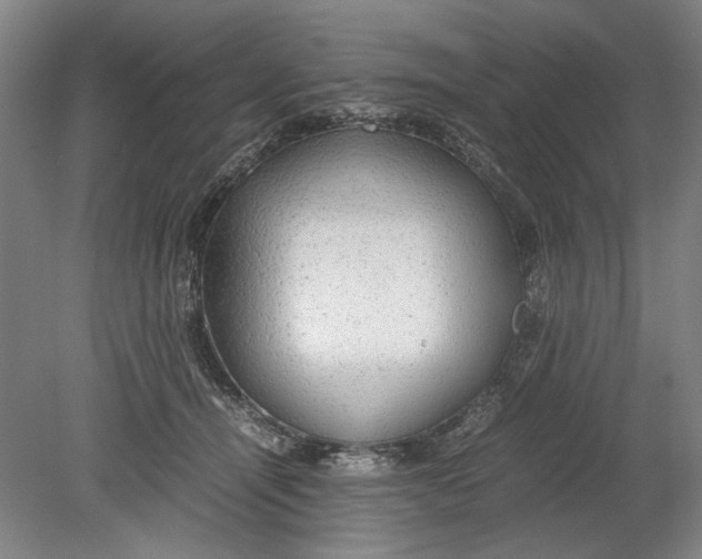 X0000080680464200701051039