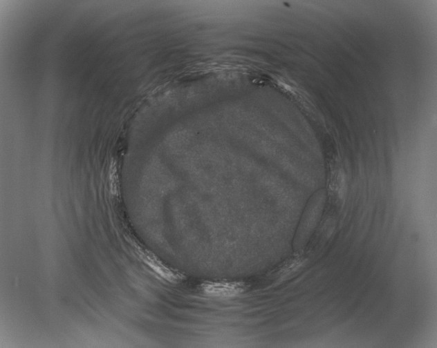 X0000080680465200701051039