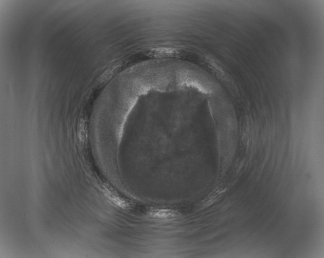 X0000080680467200701051039