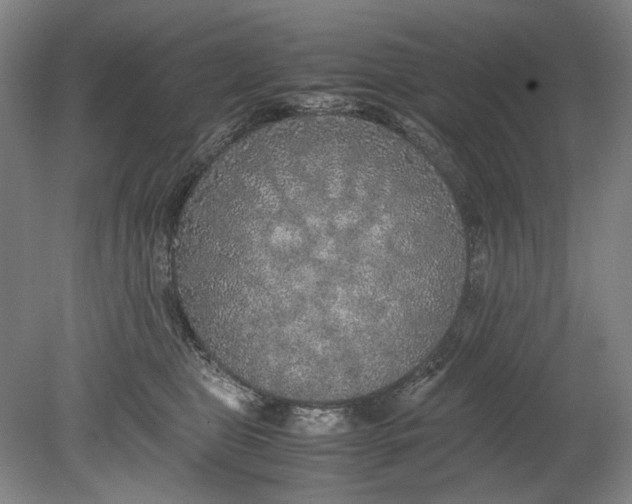 X0000080680469200701051039