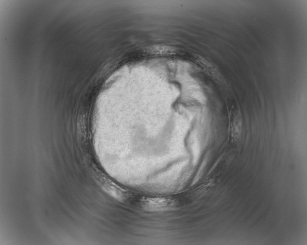 X0000080680473200701051039