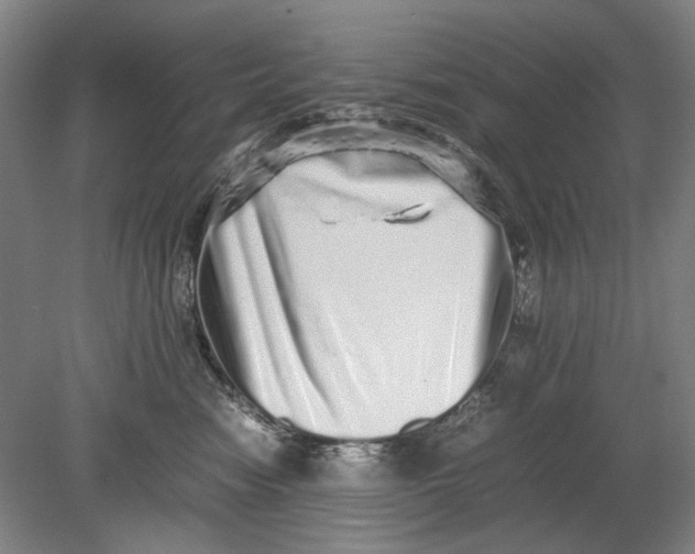 X0000080680474200701051039