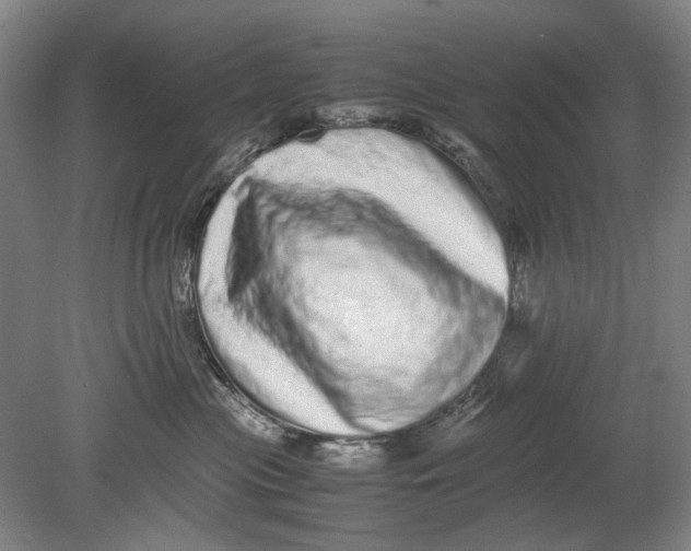 X0000080680477200701051039