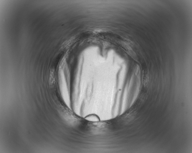 X0000080680478200701051039