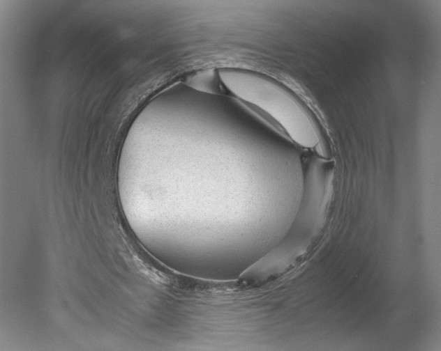 X0000080680481200701051038