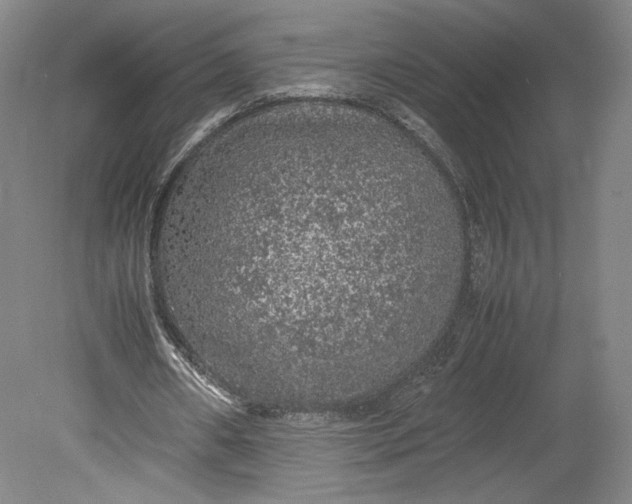 X0000080680482200701051038