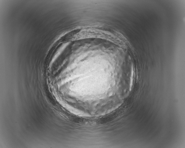 X0000080680483200701051038