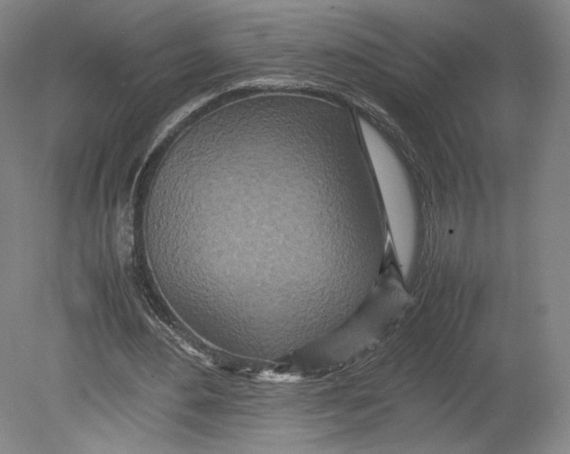 X0000080680484200701051038