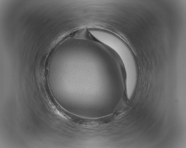 X0000080680485200701051038