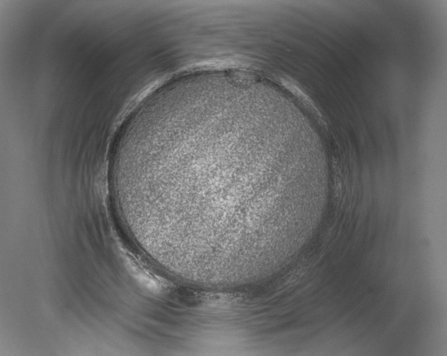 X0000080680486200701051038