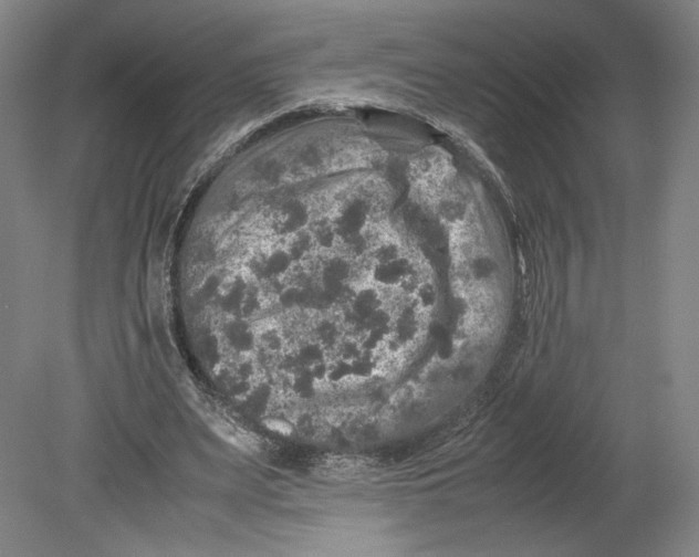 X0000080680487200701051038