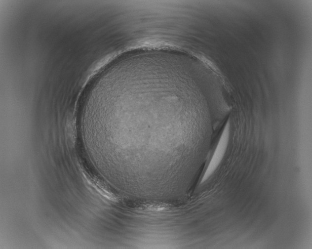 X0000080680488200701051038