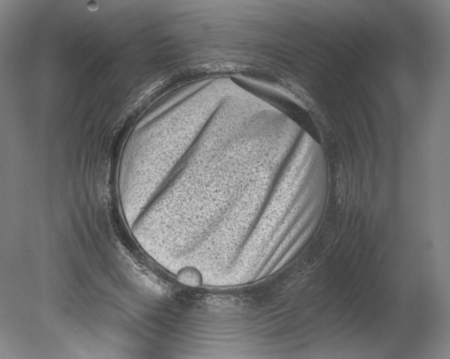 X0000080680490200701051038