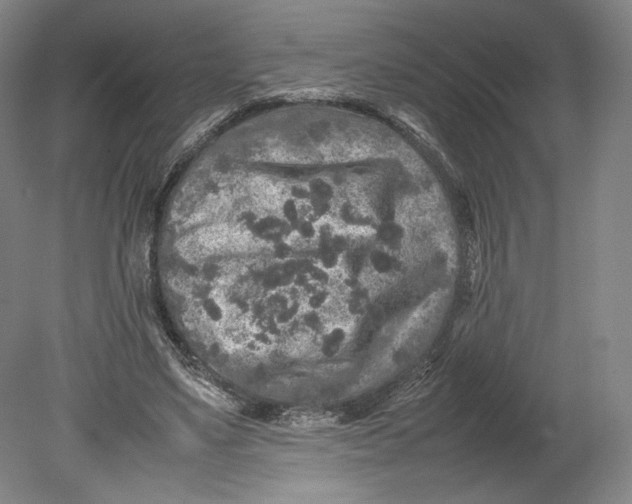 X0000080680491200701051038