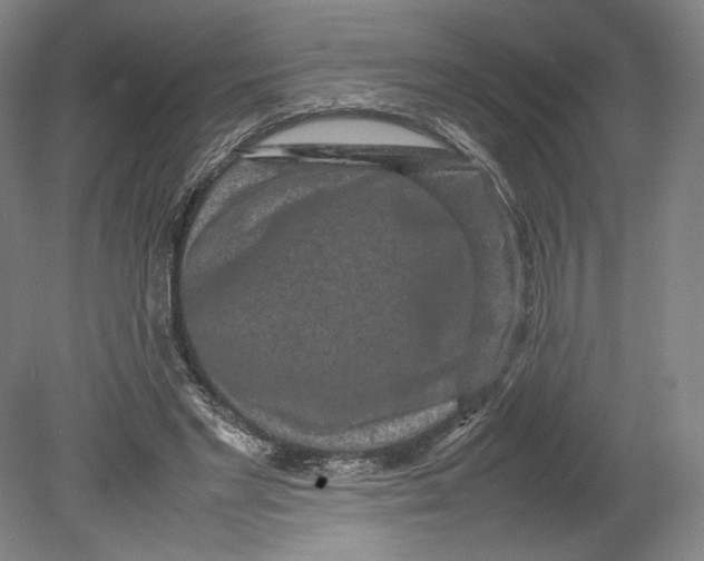 X0000080680493200701051038