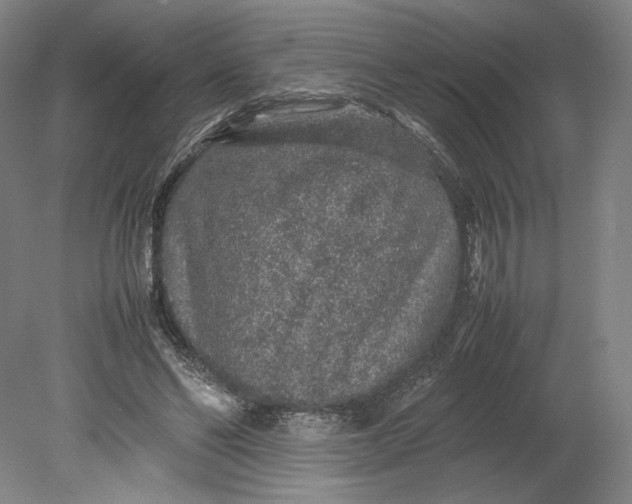 X0000080680494200701051038