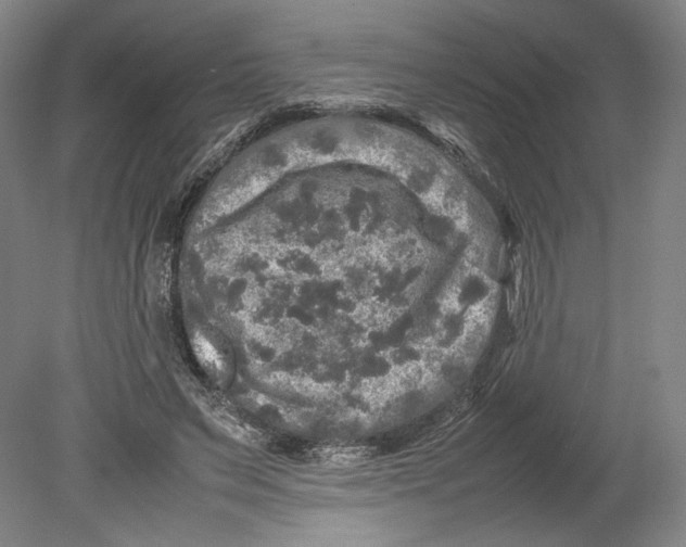 X0000080680495200701051038