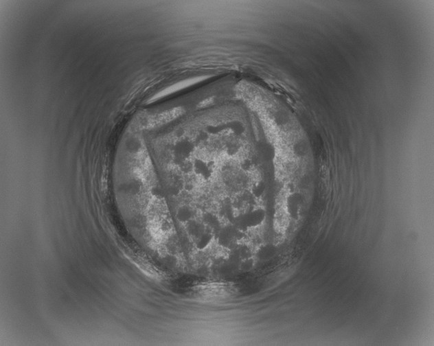 X0000080680499200701051038