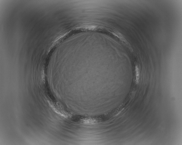 X0000080680500200701051038