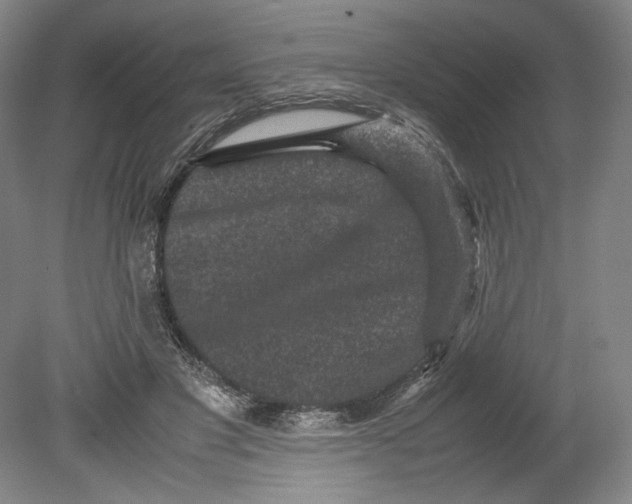 X0000080680501200701051038