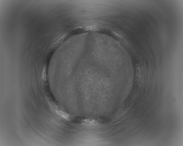 X0000080680502200701051038