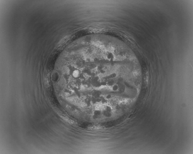 X0000080680503200701051038