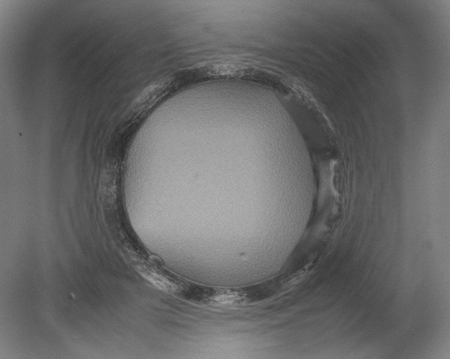 X0000080680505200701051038