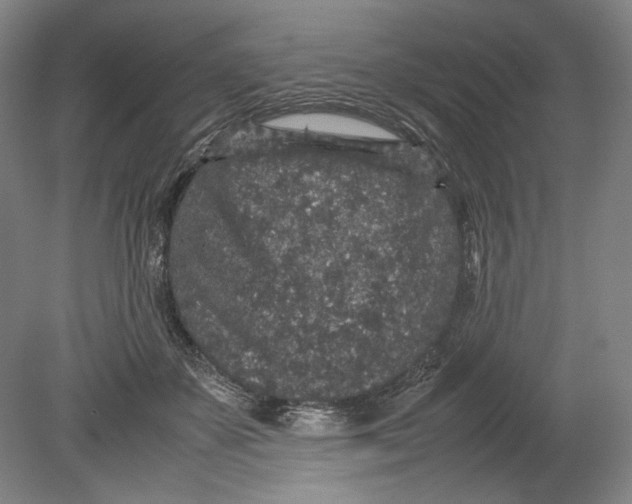 X0000080680507200701051038