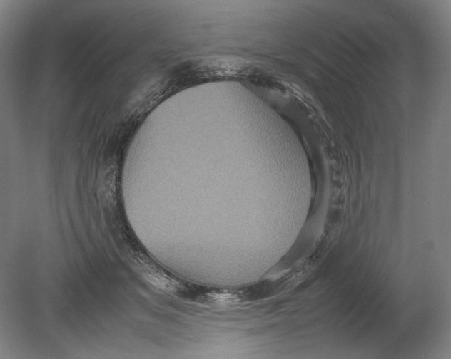 X0000080680509200701051038