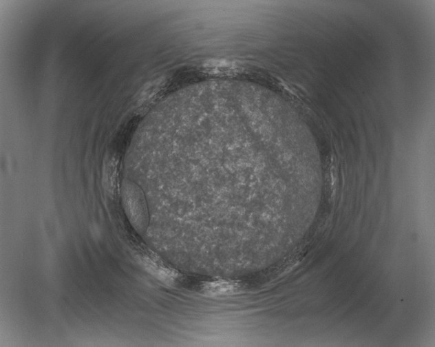 X0000080680511200701051038