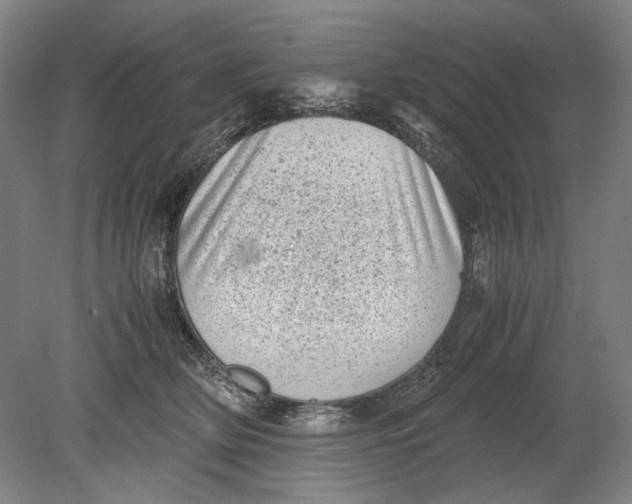 X0000080680514200701051037