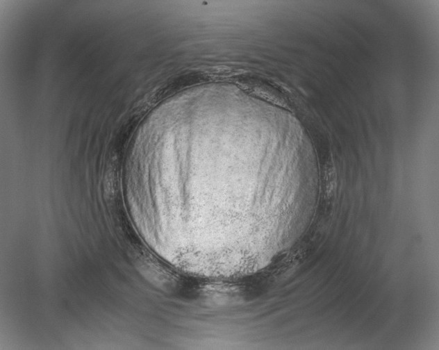 X0000080680515200701051037