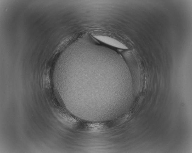 X0000080680516200701051037