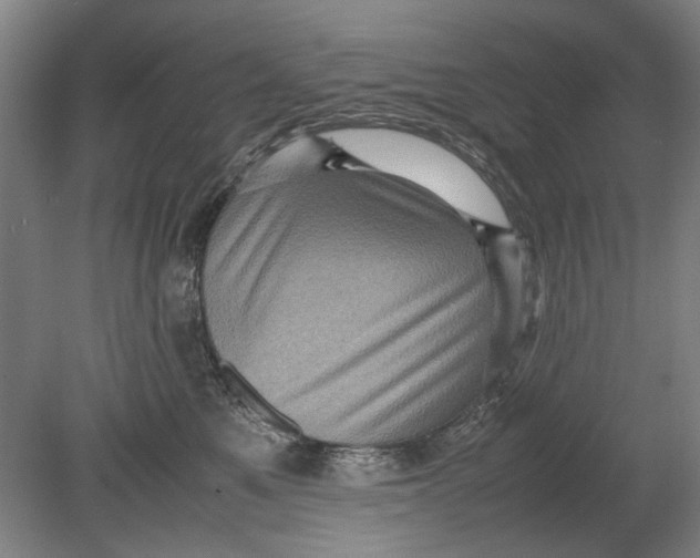 X0000080680521200701051037