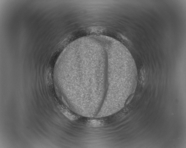 X0000080680522200701051037