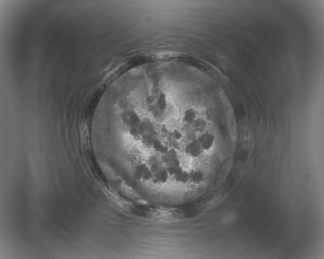 X0000080680523200701051037