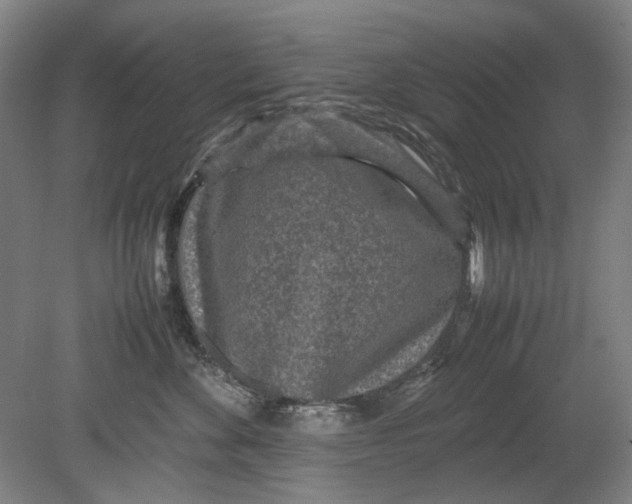 X0000080680524200701051037