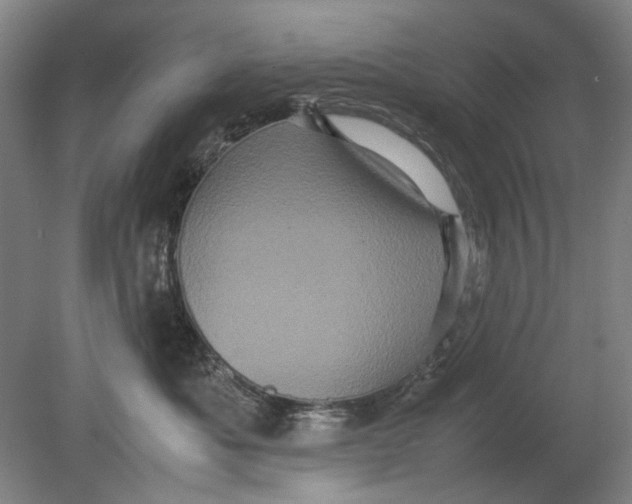 X0000080680525200701051037