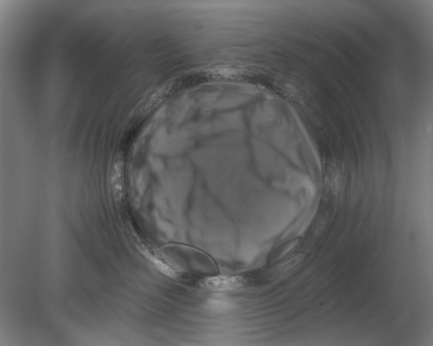 X0000080680526200701051037