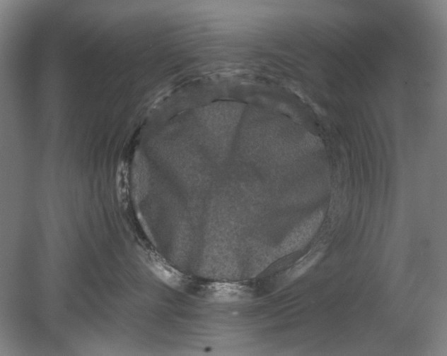 X0000080680528200701051037