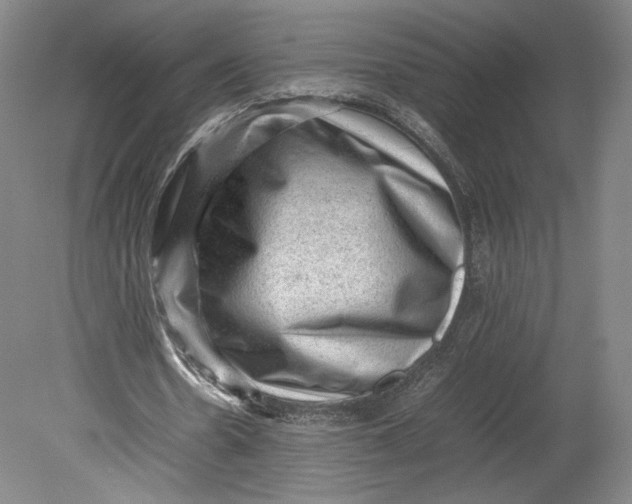 X0000080680530200701051036