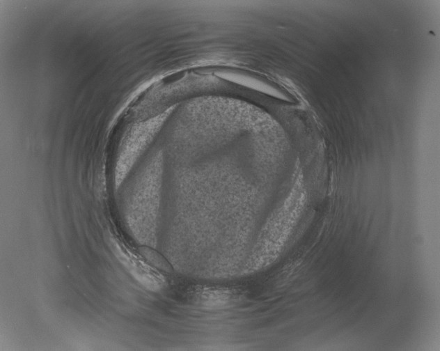 X0000080680531200701051036