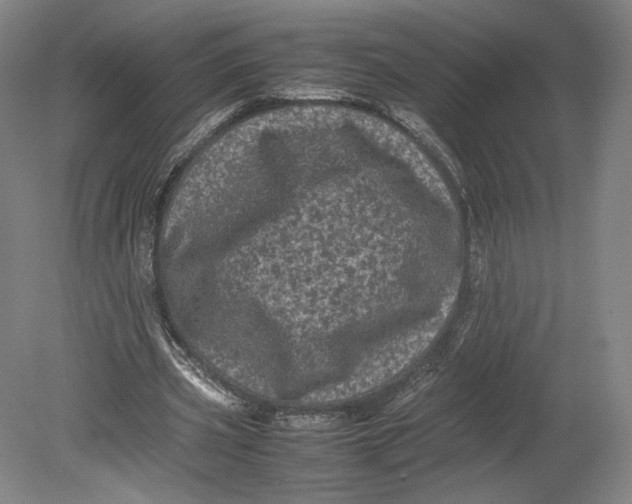 X0000080680533200701051037