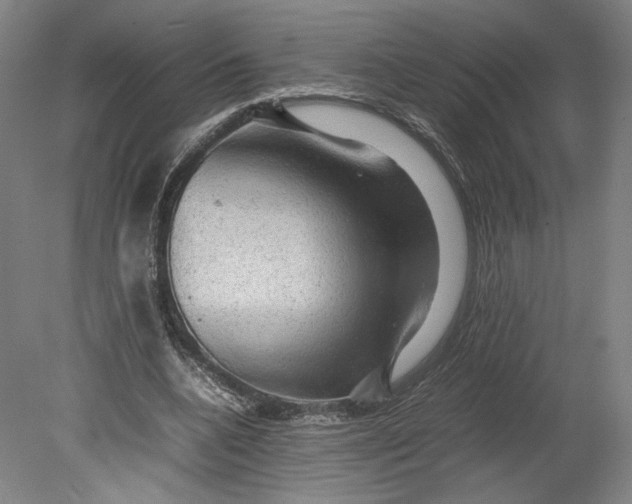 X0000080680536200701051037