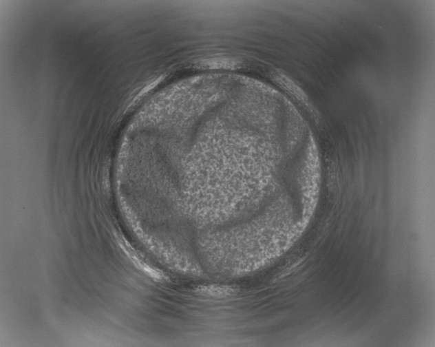 X0000080680537200701051037