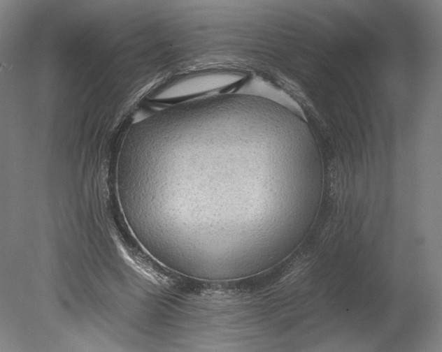 X0000080680538200701051037