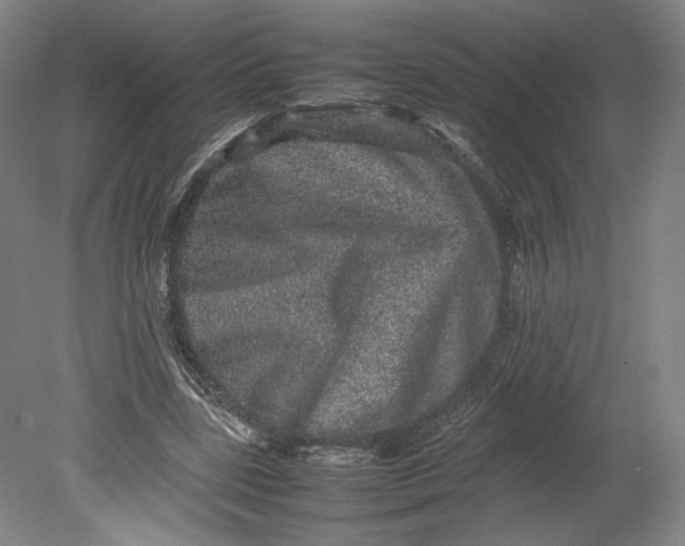 X0000080680539200701051037