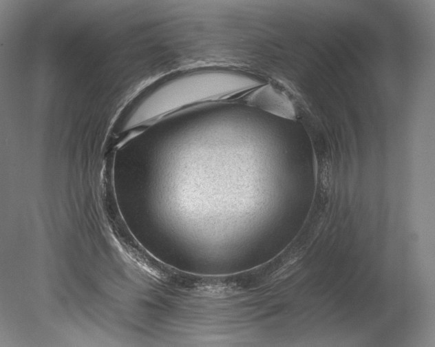 X0000080680540200701051037