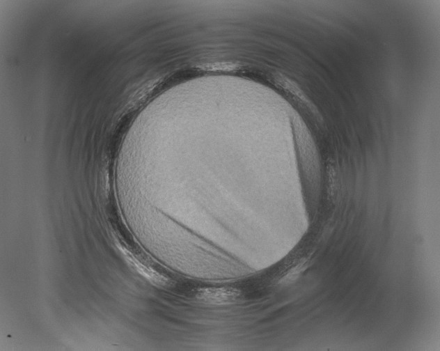 X0000080680541200701051037