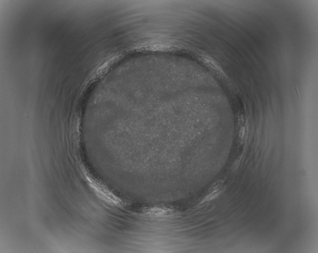 X0000080680542200701051037